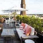 Citrus Club