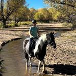 Rocky Mountain Stables Horseback Riding and Sleigh Rides