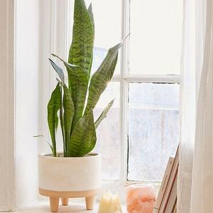 Liv 8” Footed Planter
