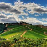 DAOU Vineyards & Winery