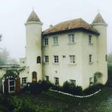 Viñedo Chateau Defay