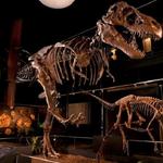 Houston Museum of Natural Science