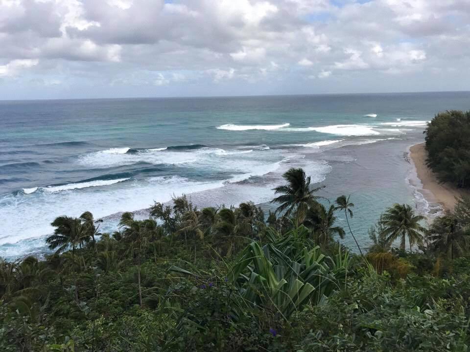 Where the proposal took place! Kalalau Falls Trail in Kauai, Hawaii.