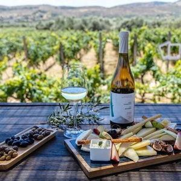 Wine Tastings Tour