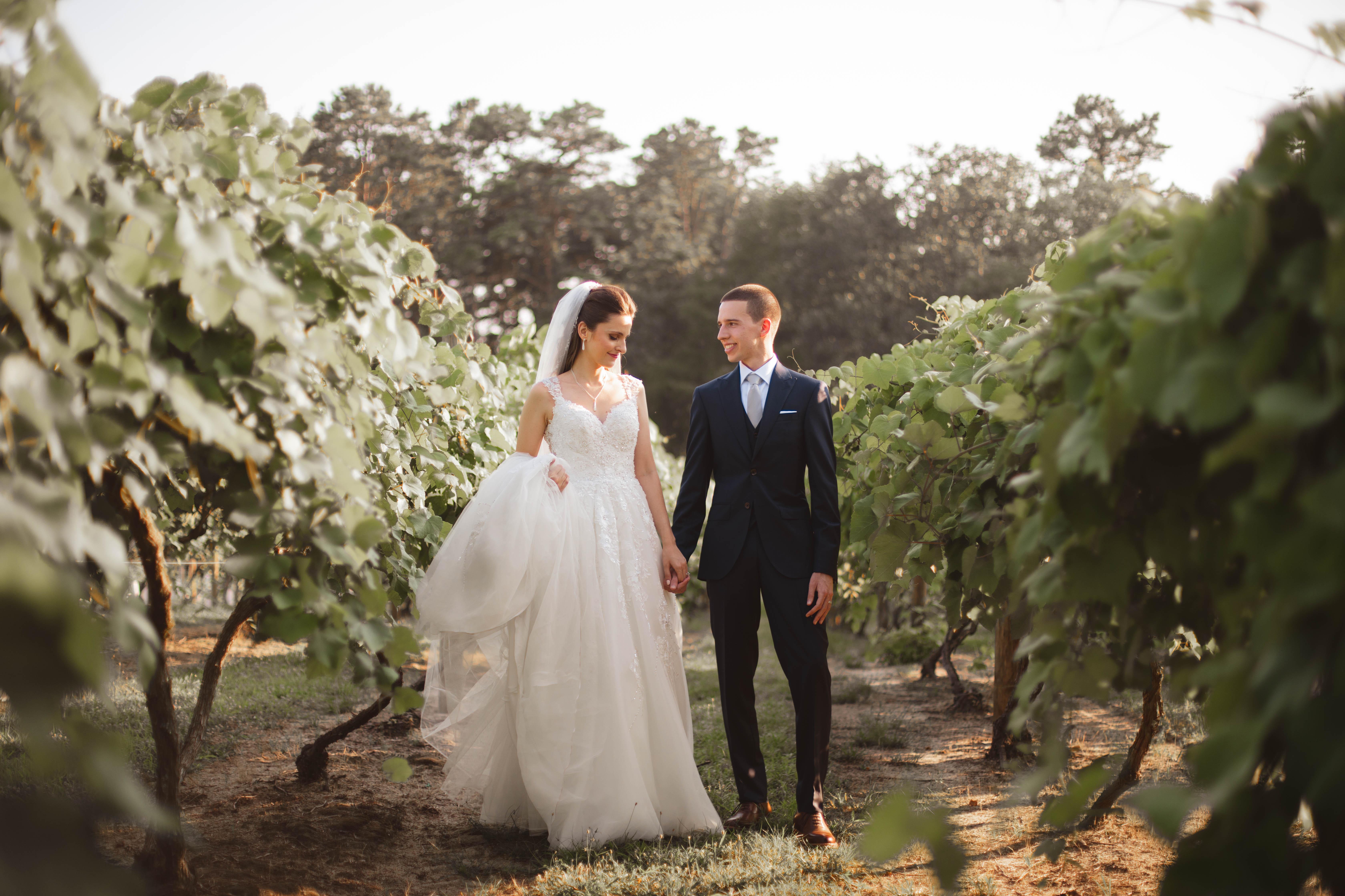 The Wedding Website of Joanne Marie Dallagnese and Thomas Robert Olson