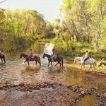 Trail Horse Adventure
