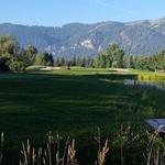Golfing