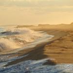 South Beach / Katama Beach