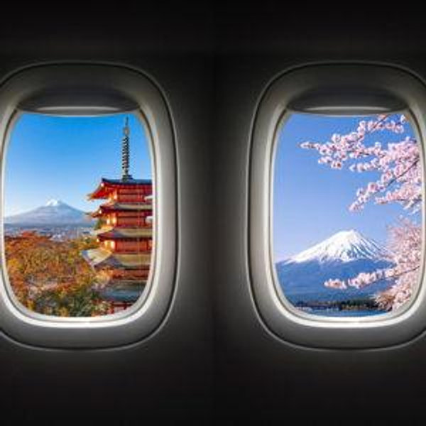 Our Honeymoon Fund -- We're going to Japan! (Venmo)