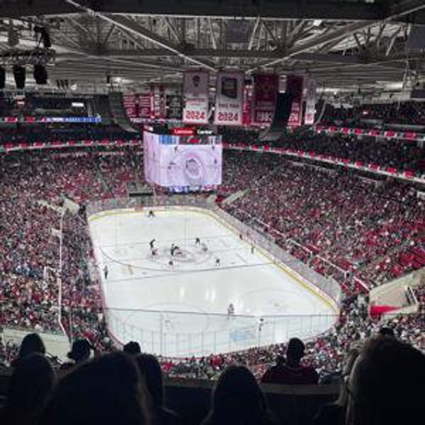 NHL Hockey Game