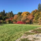 Finch Arboretum