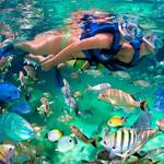 Xel Ha Park