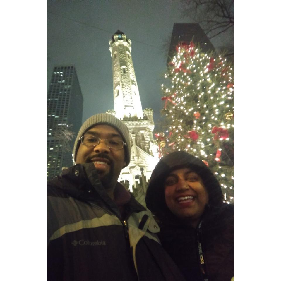 The Proposal - Marcus proposed in a horse-drawn carriage ride through the city.  The carriage ride started & ended outside Old Water Tower and coincided with the first pretty snow fall of the season!
