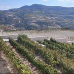Oenou Yi - Ktima Vassiliades Winery