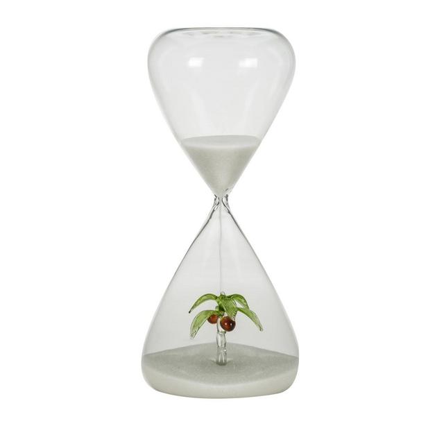 Palma Hourglass