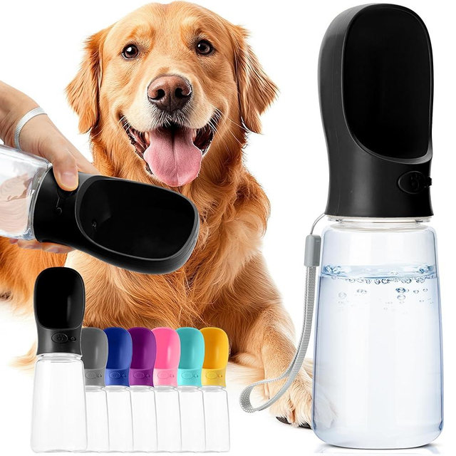 Mr. Pen- Dog Water Bottle, 19 oz, Large, Black, Portable Dog Water Bottle Dispenser, Not Dishwasher Safe