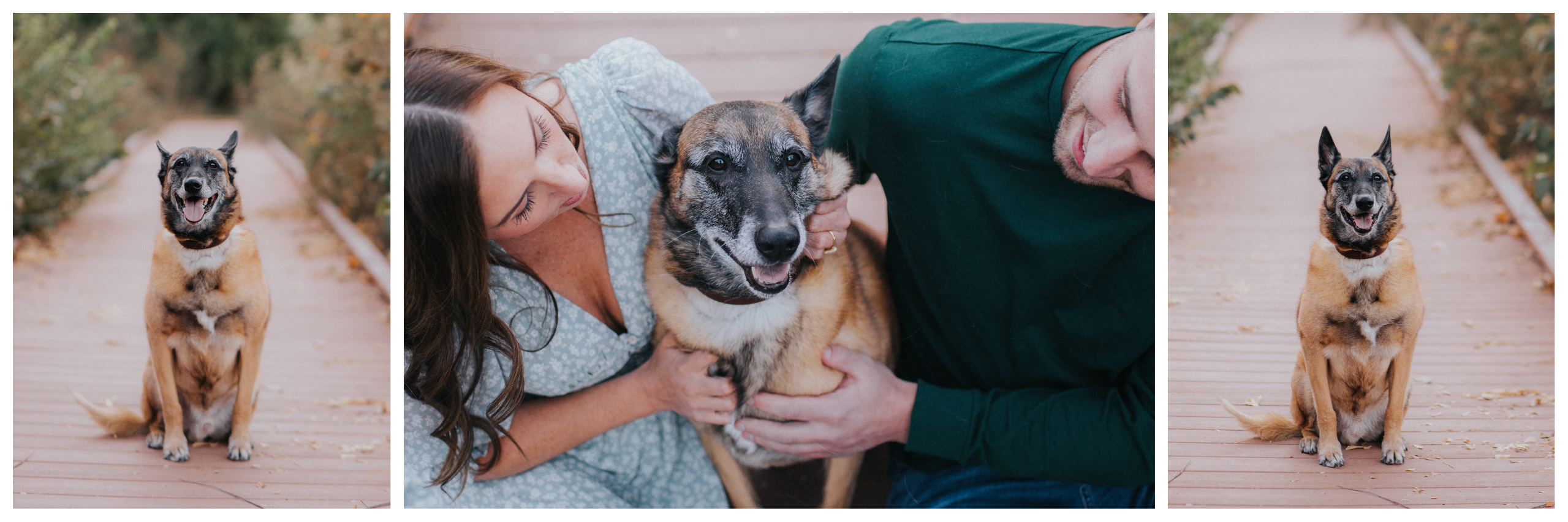 The Wedding Website of Kelsi Drummond and Billy O'Brien 