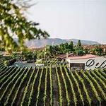 Doffo Winery