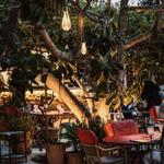 Zitya Ibiza | Restaurant, Bar & Lounge