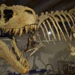 Asheville Museum of Science