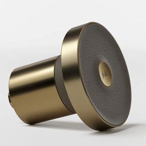 The Jolie Filtered Showerhead - Brushed Gold