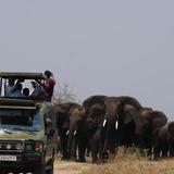 Akagera National Park Rwanda