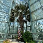 San Antonio Botanical Garden