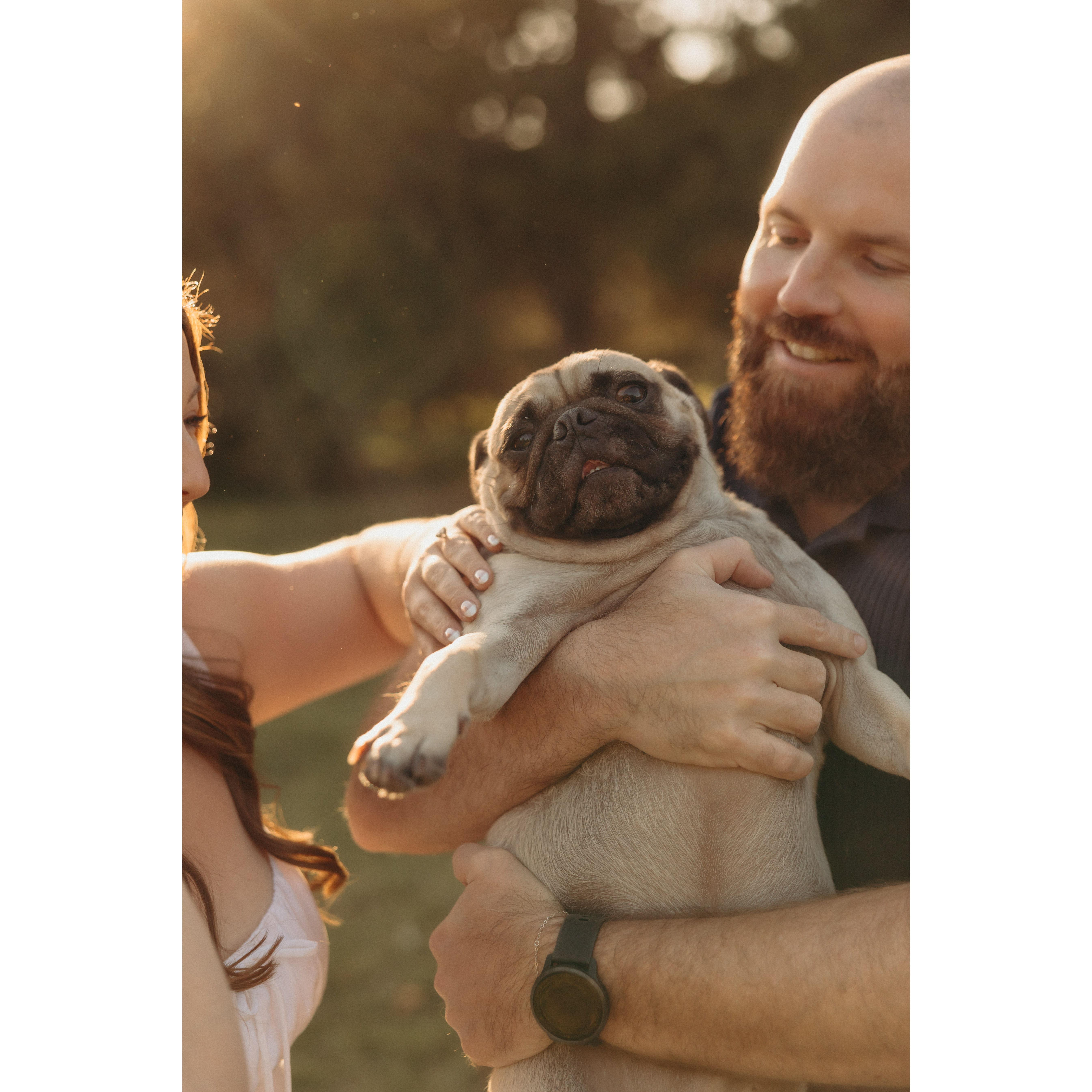 Sarah Dean Photography