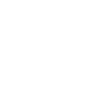 Pins Mechanical Co.