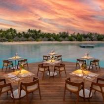 Honeymoon Meal