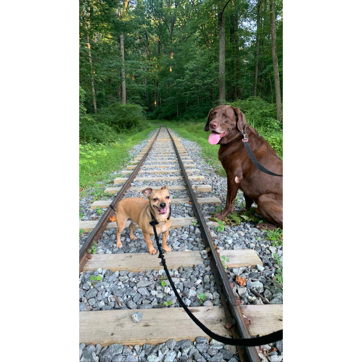 Hunter and Mateo. The Boyz.
