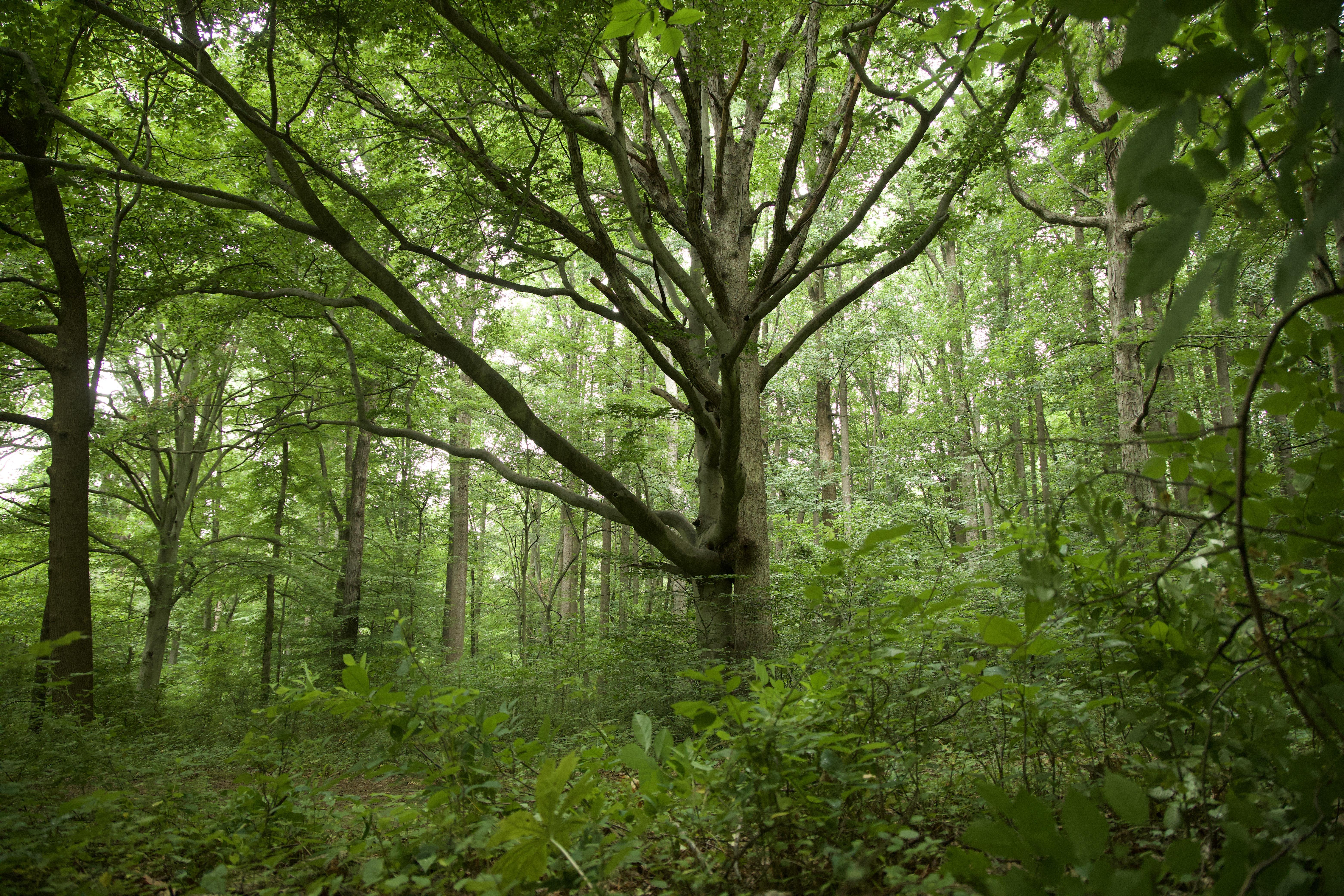 51646210-9624-4625-9a05-a2ca98013c2a