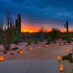 Desert Botanical Garden