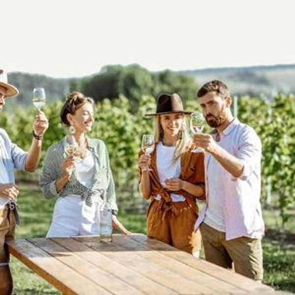 ($50) Vineyard Tours
