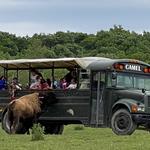 Hidden Valley Animal Adventure