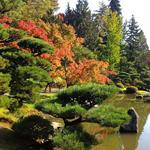 Washington Park Arboretum UW Botanic Gardens