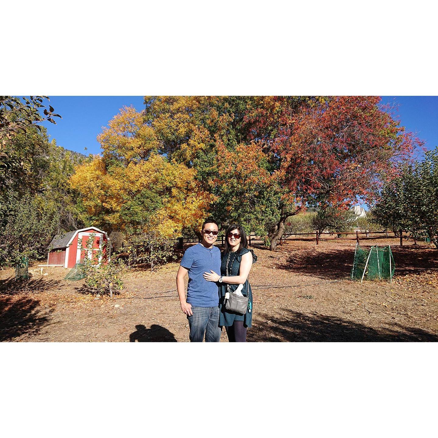 Oak Glen