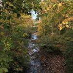 Ringwood State Park