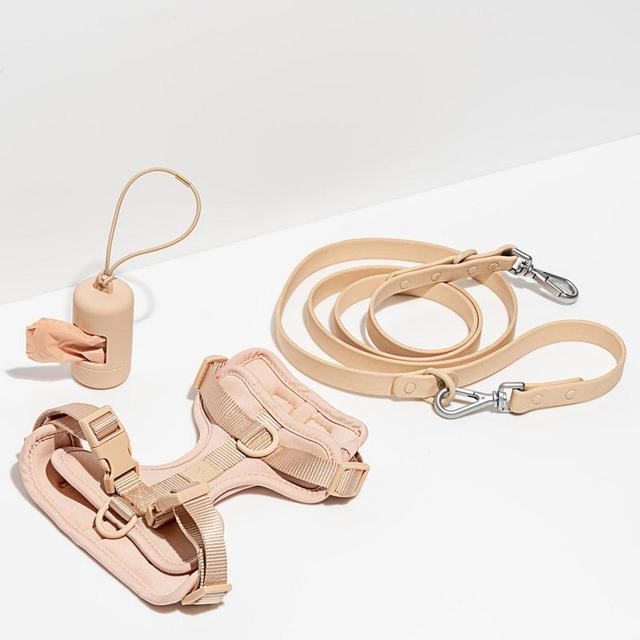 Harness Walk Kit- Tan