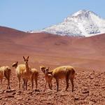 San Pedro de Atacama