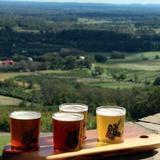 Dirt Farm Brewing