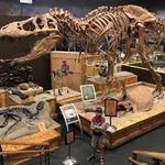 Ogden's George S. Eccles Dinosaur Park