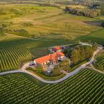 Villa Tolnay Borház - Wine Tasting