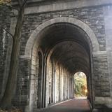 Fort Tryon Park