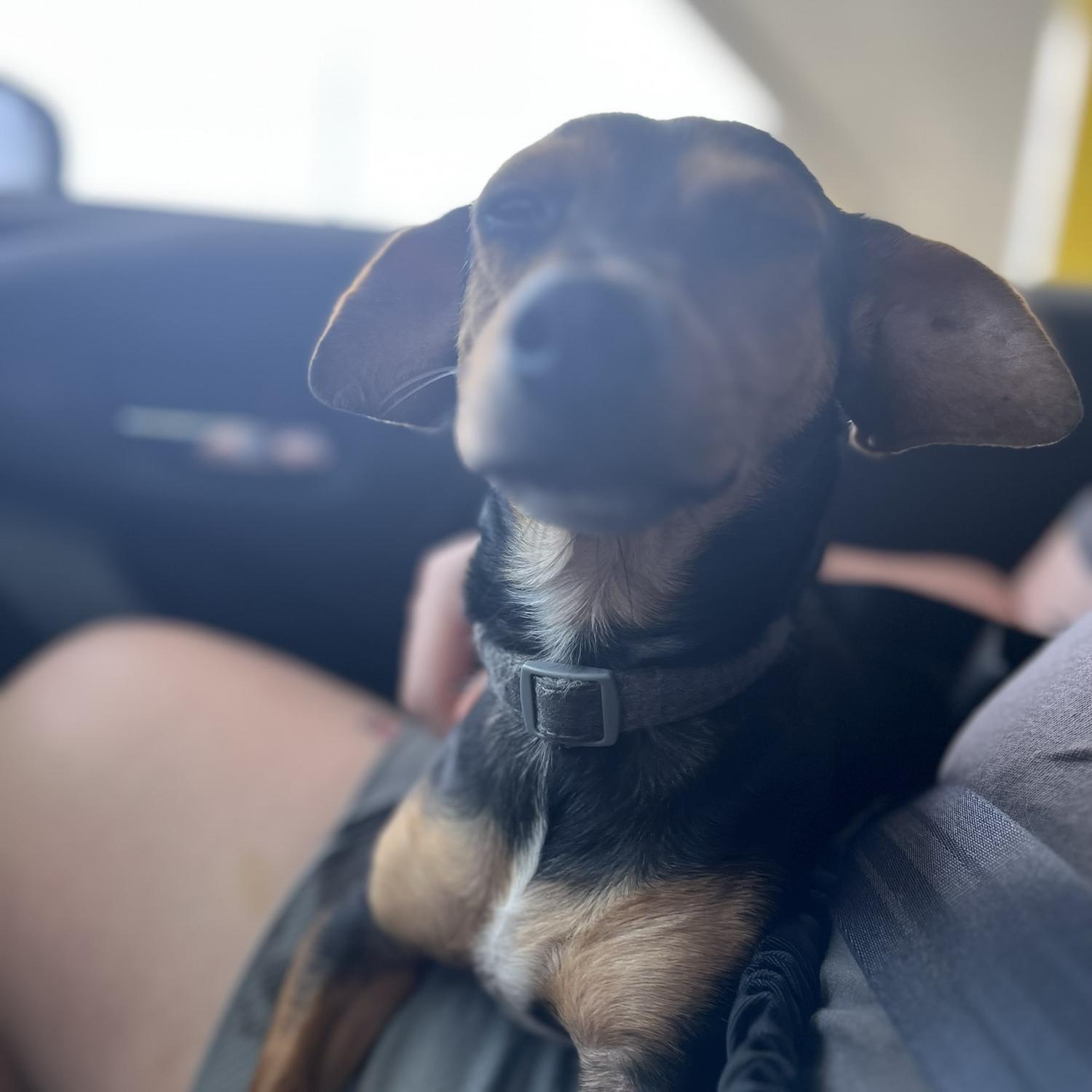 Crazy Coco🤪