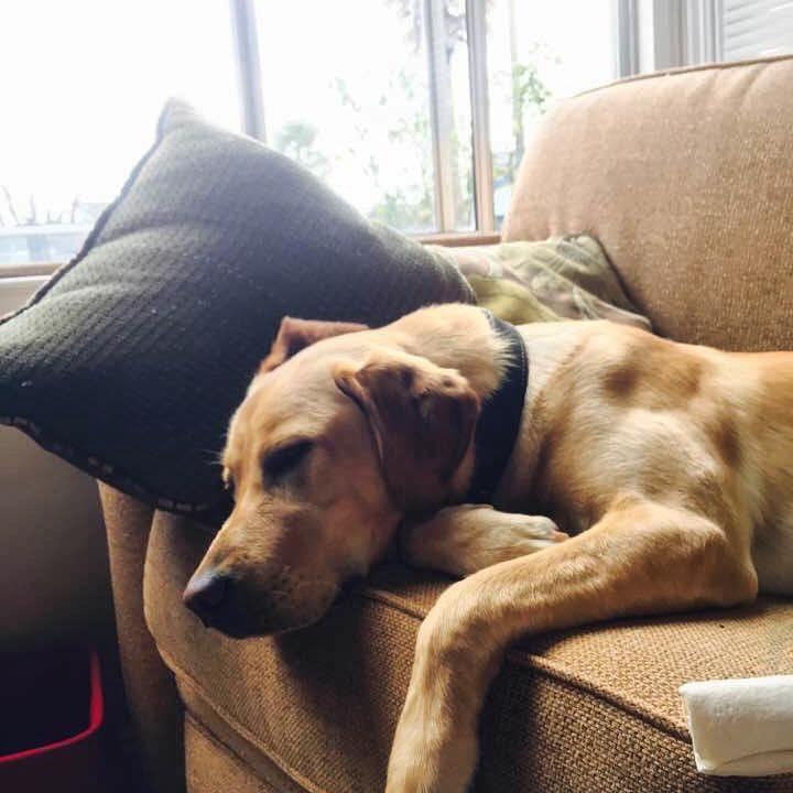 Our little man Pliny the Elder!!