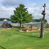 Torpy Park