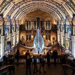 Natural History Museum