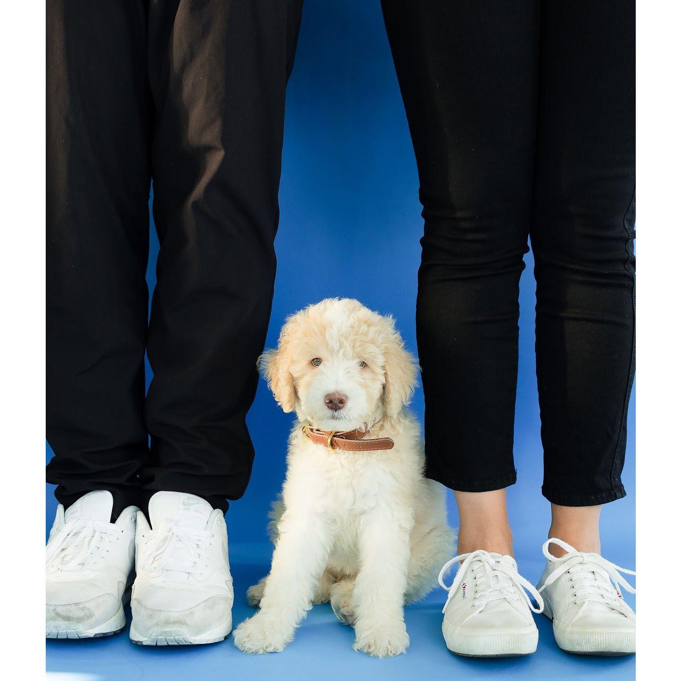 Adopted our first pup, Atlas (2020)
