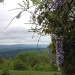 Mountain Top Vista Resort